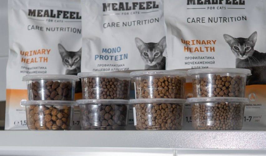 Круглые, овальные, треугольные и даже в форме сердечка..