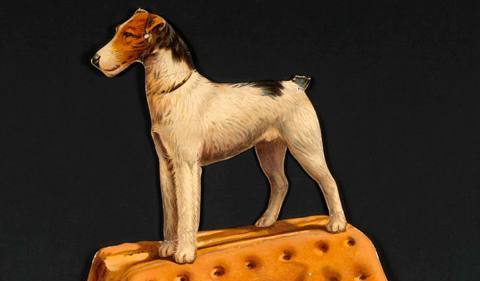 А вы знали, что первый «сухой корм» появился более 160 лет назад?