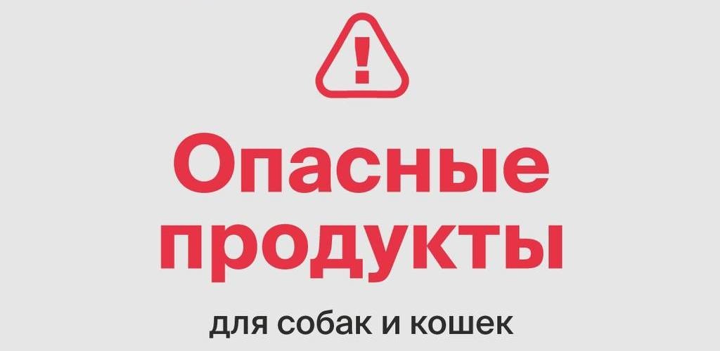 Чем нельзя кормить кошек и собак?